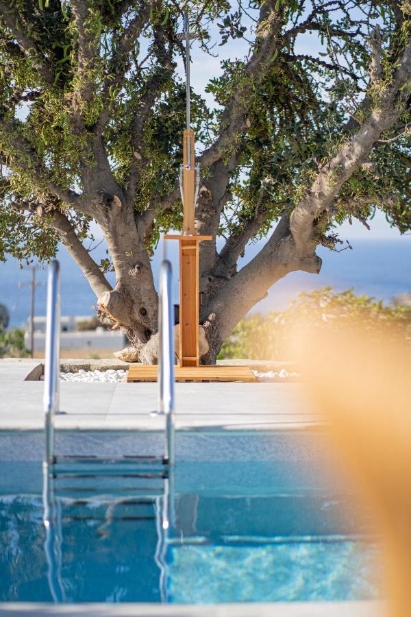 Vila Santa Marina Syros Liaropá Exteriér fotografie